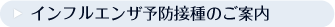�C���t���G���U�\�h�ڎ�̂��ē�
