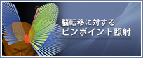 脳転移に対するピンポイント照射