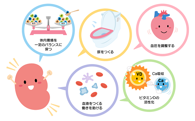 悪く 腎臓 なると が 慢性腎臓病(CKD)の症状